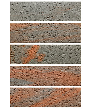 2022.5.16_11.39.37_2689