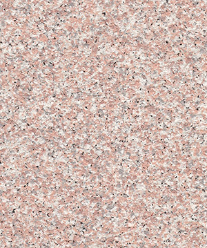 2022.6.22_10.0.3_7537