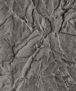 2025.4.14_16.2.11_4865