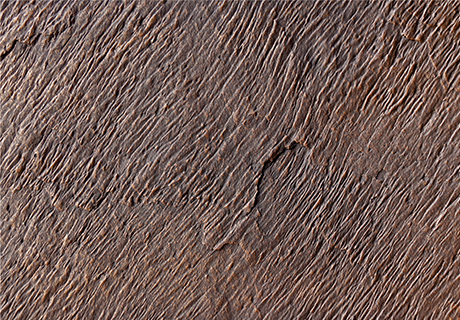 9888拉斯维加斯(中国游)官方网站